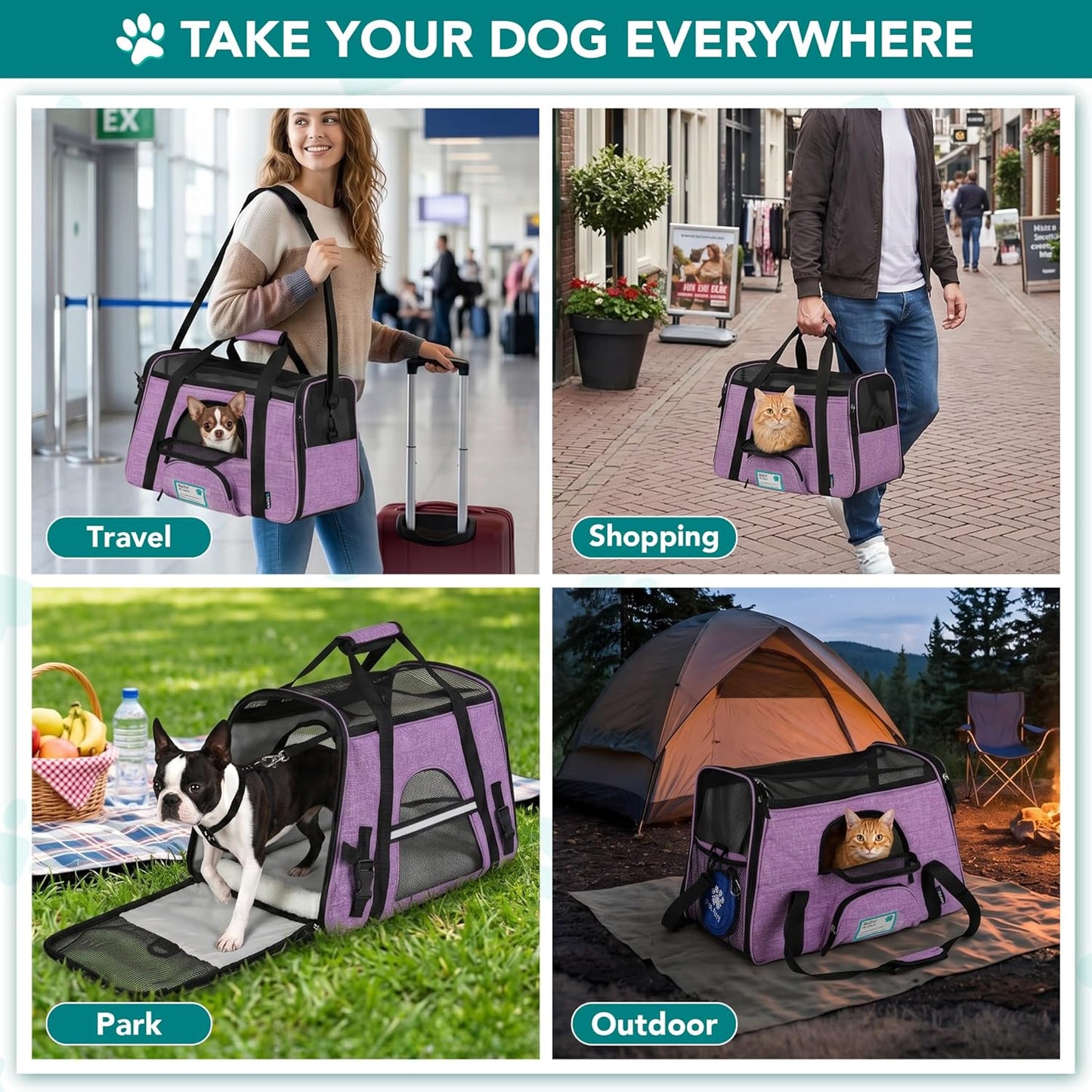 Airline Approved Pet Carrier for Cats & Small Dogs