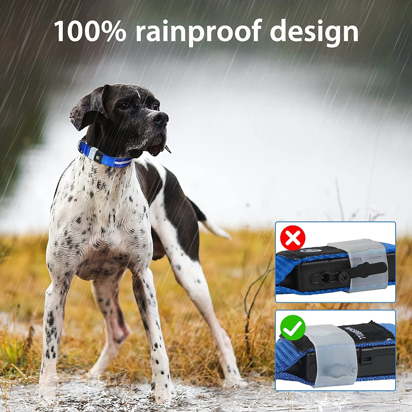 Led Dog Collar - Rechargeable, Water-Resistant, Flashing, Glowing, Night Walking Collar for Dogs.
