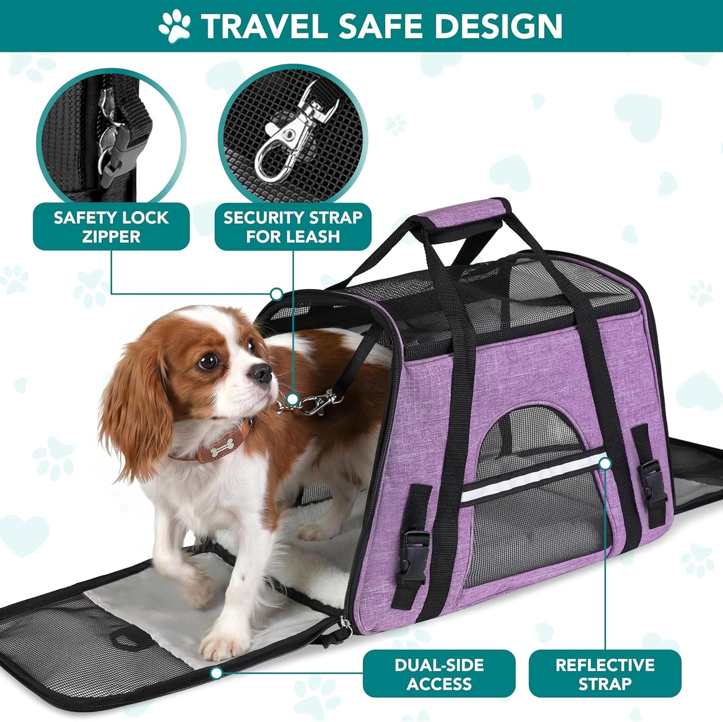 Airline Approved Pet Carrier for Cats & Small Dogs