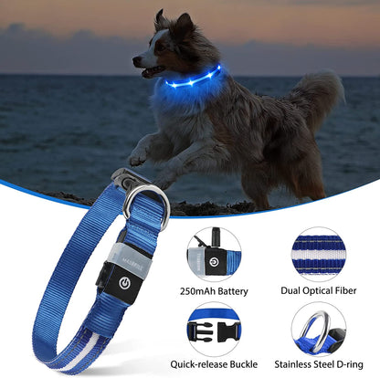 Led Dog Collar - Rechargeable, Water-Resistant, Flashing, Glowing, Night Walking Collar for Dogs.