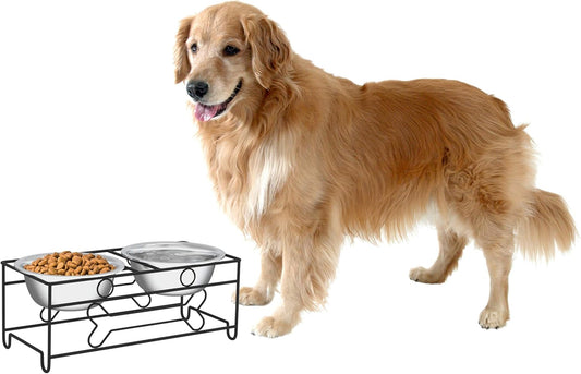 Set of 2 Stainless Steel Dog Bowls - 40Oz Pet Bowls with Decorative Dog Food Stand