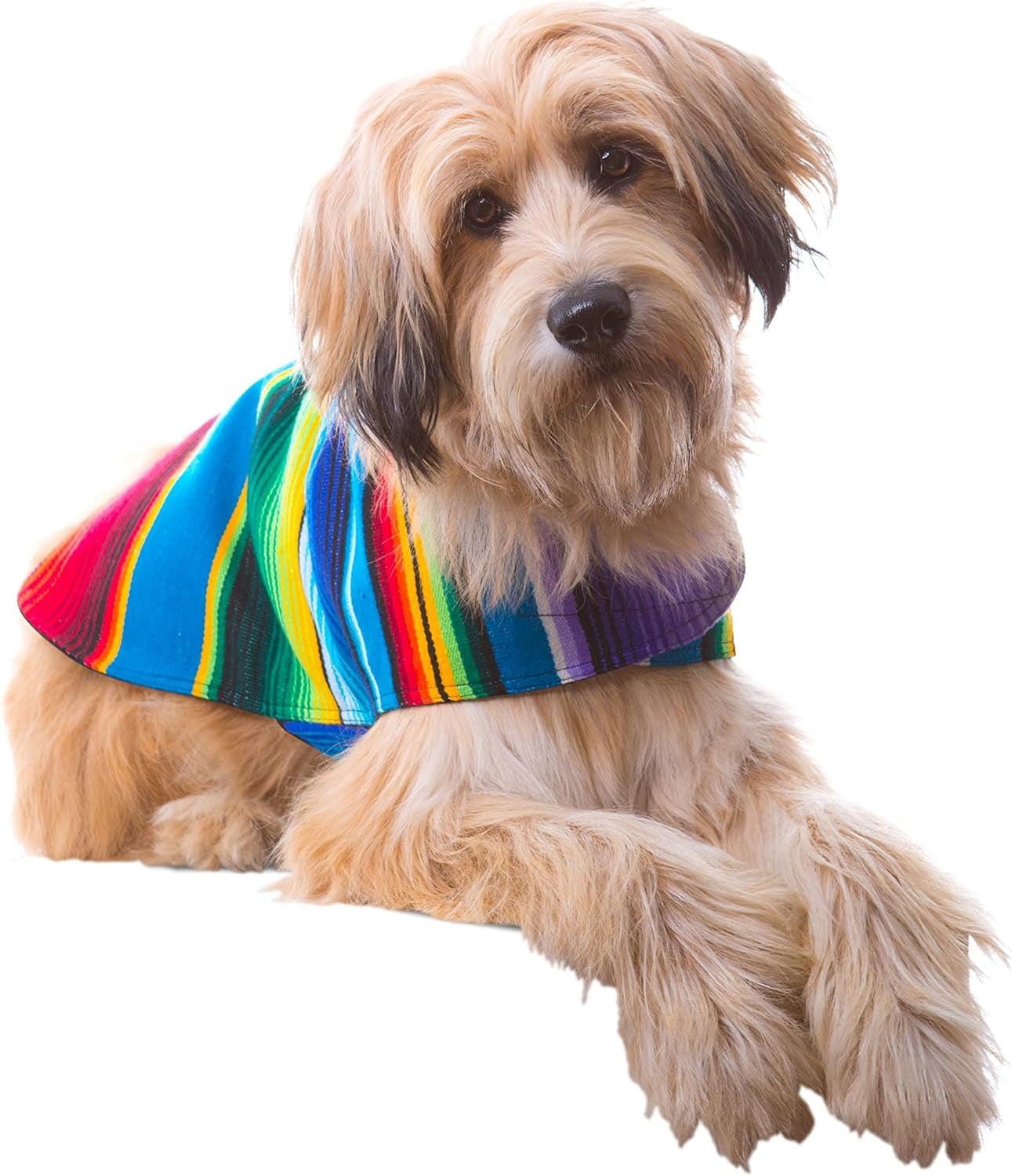 Dog Clothes - Handmade Dog Poncho from Authentic Mexican Blanket 