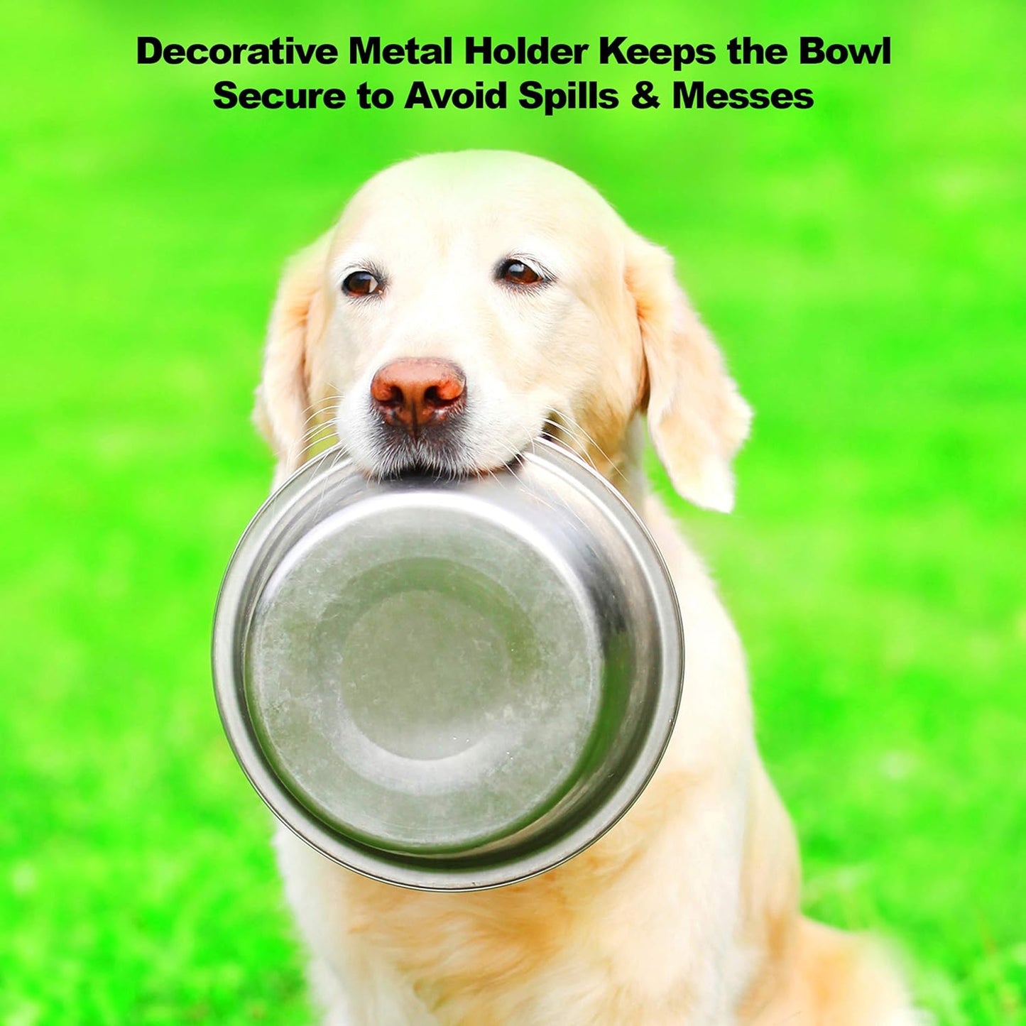 Set of 2 Stainless Steel Dog Bowls - 40Oz Pet Bowls with Decorative Dog Food Stand