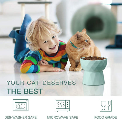 Cat Bowls,Ceramic Cat Bowls,Raised Food and Water Bowl Set for Cats and Small Dogs