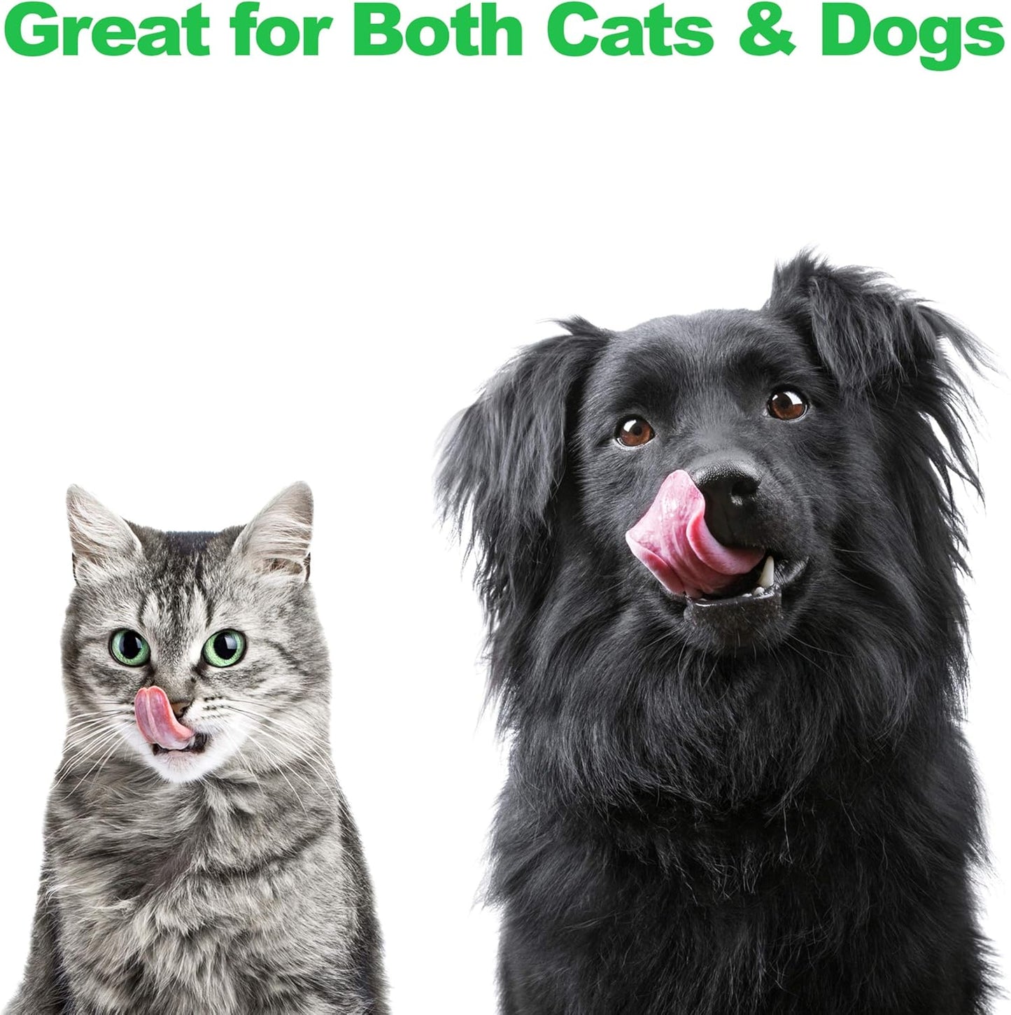 Set of 2 Stainless Steel Dog Bowls - 40Oz Pet Bowls with Decorative Dog Food Stand