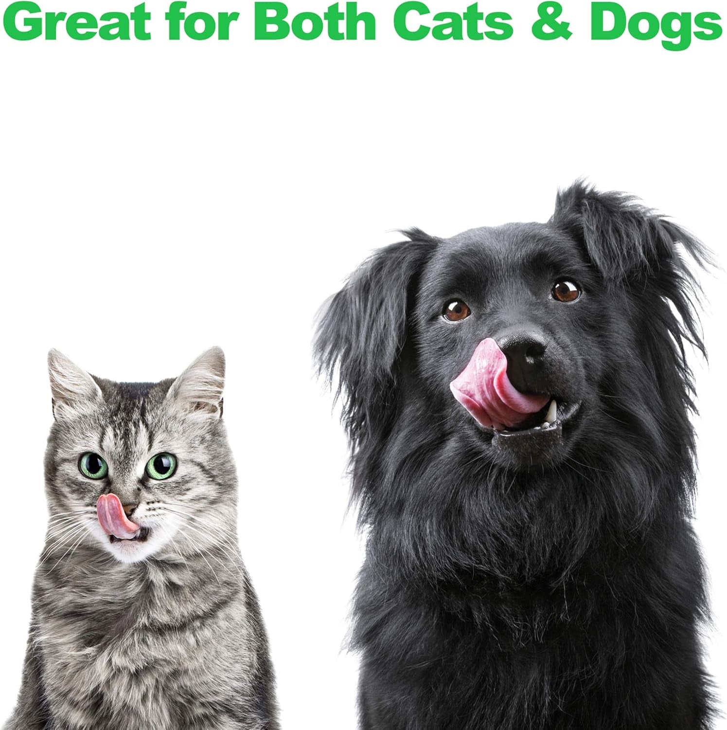 Set of 2 Stainless Steel Dog Bowls - 40Oz Pet Bowls with Decorative Dog Food Stand